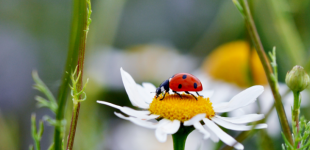 Жаркий уикенд: синоптики дали прогноз на выходные