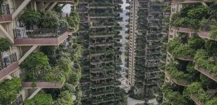 Китайский проект жилья с лесом на балконе погубили комары