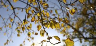 В Карпатах возможен снег. Синоптик дала прогноз погоды в Украине на ближайшие дни