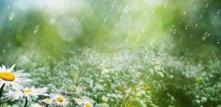 Капризное лето: Украине прогнозируют сильные грозы и жару