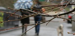 В Украину идет потепление: названа дата