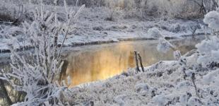 Небольшое потепление сменится морозами и снегом: синоптики дали прогноз до конца недели в Украине