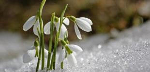 В Украину вернулась зима: когда закончатся морозы и где будет холоднее всего