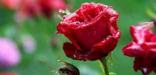 Жара отступает: синоптик рассказала, где скоро будет свежее всего