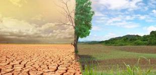 Эколог предупредила об огромных изменениях климата в Украине: времени осталось в обрез