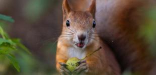 Кінець потеплінню: перед вихідними стовпчики термометрів в Україні поповзуть вниз