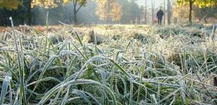В Украине ударят заморозки до -5: синоптики озвучили детальный прогноз