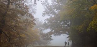 В Украине объявили I уровень опасности: непогода ожидается уже ночью