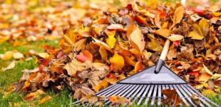 Сухо, прохладно, с ночными морозами: погода в Украине в ближайшие дни