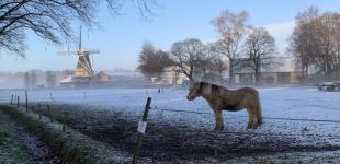 У Нідерландах перший сніг вкрив частину країни