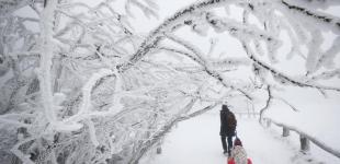 До конца недели в Украине ударят трескучие морозы: появился прогноз на 7 дней