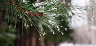 Синоптики обіцяють погодні сюрпризи на Новий рік: чи чекати на сніг
