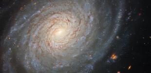 Hubble показав спіральну галактику у сузір'ї Овен