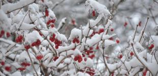 В Украине ударят морозы до 18 градусов: синоптики дали детальный прогноз на начало недели