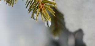 Місцями дощі і до +11 вдень: погода на 11 лютого