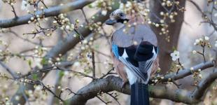 У четвер українців чекає невелике похолодання: місцями температура впаде до +12°