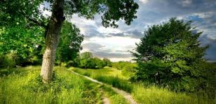 Четвер потішить українців комфортною температурою, але в чотирьох областях - дощі