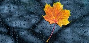 В Україну йде похолодання: синоптик назвала точні дати