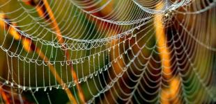 Погода поліпшується: у четвер дощі пройдуть лише в декількох областях України 