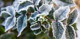 В Украине перед Новым годом ударят морозы до -22