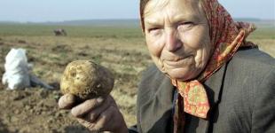 Промышленная инфляция – это где-то там, у них, это не у меня. А вот и нет. Это именно у вас