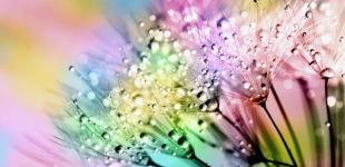 В Украине дожди уйдут и вернется тепло 