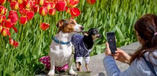 Вдень - до +20°, вночі - заморозки: прогноз погоди в Україні на вихідні