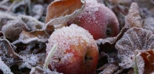В Украину идут сильные заморозки: какие области под угрозой