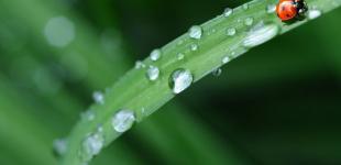 Смуги дощів з грозами перетинатимуть у вівторок всю Україну: прогноз погоди на 16 серпня