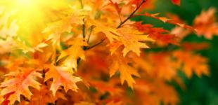 В Украину идет потепление