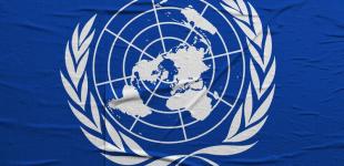 В Украине предлагают ввести внешнее управление 