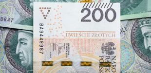 Робота в Польщі влітку: де та скільки можуть заробити українці