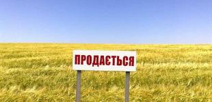 Закон о земле: подводные камни, страхи и мифы