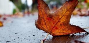 На Украину надвигается похолодание, часть страны накроют дожди: прогноз на начало недели