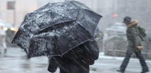 Дожди в пятницу накроют восемь областей