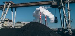 Чому немає формули капусти «Брюссель+»?