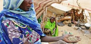 Продовольча криза стала одним із найбільших наслідків війни в Україні, - NYT