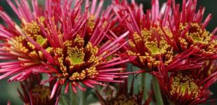 Перші вихідні осені будуть прохолодними: прогноз погоди в Україні на 3-4 вересня