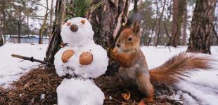 Прогноз погоди на 6 січня: переддень Різдва буде з незначним морозом і дощем