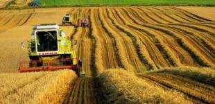 Аграрии призвали Порошенко не вводить санкции против иностранных производителей минудобрений