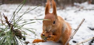 В Украину движется новая волна похолодания: синоптики назвали дату