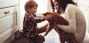 Общение с животными учит людей дружить - Супрун