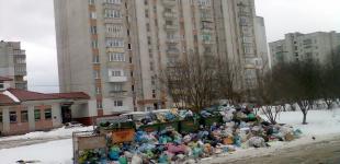 Дрогобыч превращается в город-мусорник: отходы не вывозятся месяцами