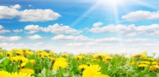 В Украину придет весенняя жара