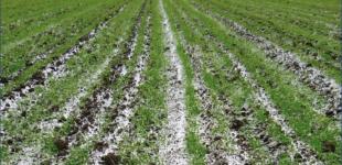 За потеплением придут холода: прогноз погоды