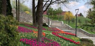 В Украине слегка похолодает и начнутся грозы: погода на 3 мая