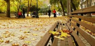 Синоптик рассказала, какой будет погода в первые дни ноября