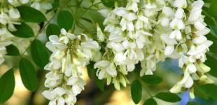 Утром солнце, вечером грозы: украинцев ждет обманчивая погода