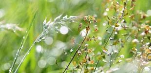 Дождливое лето и суровый декабрь: прогноз погоды в Украине до конца 2021 года