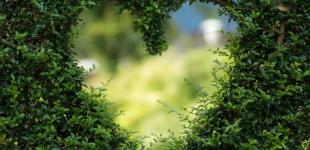 Коли Трійця 2022 року: історія, традиції, прикмети